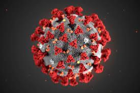 Picture of the Coronavirus